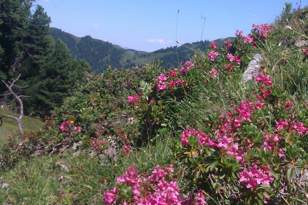 Penzion Gaestehaus Geislerin Gerlos