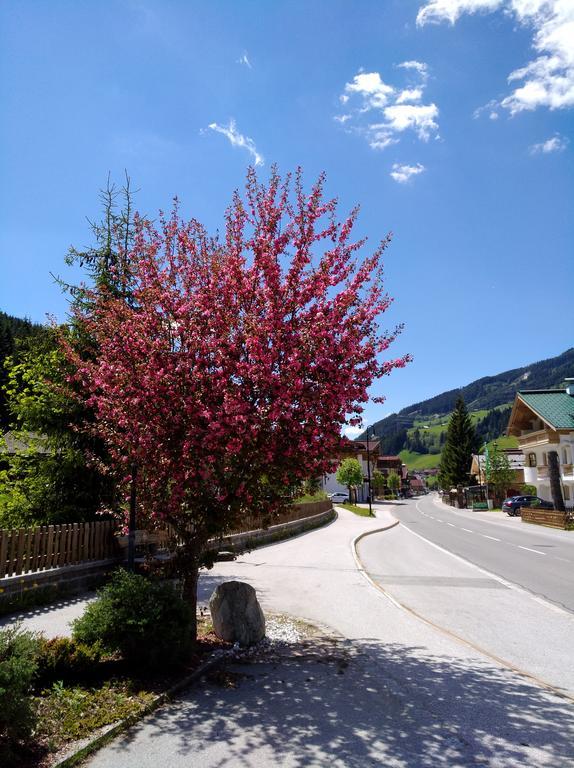 Gaestehaus Geislerin Guest house
